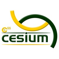 CESIUM COMPANY ( CONSULTANCY AND TRAINING ) LIMITED logo, CESIUM COMPANY ( CONSULTANCY AND TRAINING ) LIMITED contact details