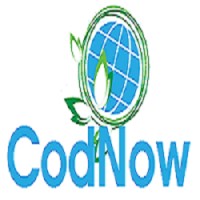 CodNow Technologies logo, CodNow Technologies contact details