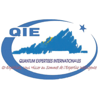 QUANTUM EXPERTISES INTERNATIONALES-BURKINA FASO logo, QUANTUM EXPERTISES INTERNATIONALES-BURKINA FASO contact details