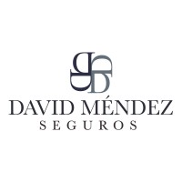 David Mendez Seguros logo, David Mendez Seguros contact details