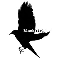 Blackbird Project Management logo, Blackbird Project Management contact details