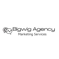 BIGWIG Agency logo, BIGWIG Agency contact details