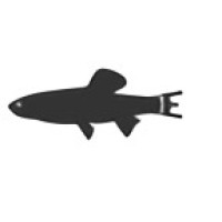 Minnow logo, Minnow contact details