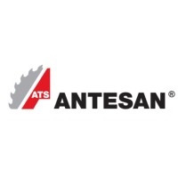 Antesan LTD. logo, Antesan LTD. contact details