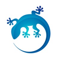 The Web Gecko logo, The Web Gecko contact details