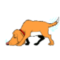 Nosey Dogs logo, Nosey Dogs contact details