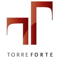 Torre Forte Engenharia logo, Torre Forte Engenharia contact details