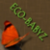 Eco-Babyz logo, Eco-Babyz contact details