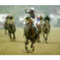 HorseRacing Consultant logo, HorseRacing Consultant contact details