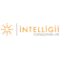 Intelligii Consulting Ltd. logo, Intelligii Consulting Ltd. contact details