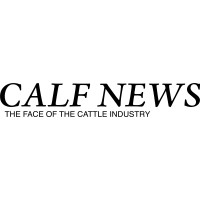 CALF News logo, CALF News contact details