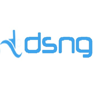 DSNG Consulting logo, DSNG Consulting contact details