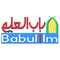 Babulilm.pk logo, Babulilm.pk contact details