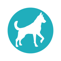 Dogpoint o.p.s. logo, Dogpoint o.p.s. contact details