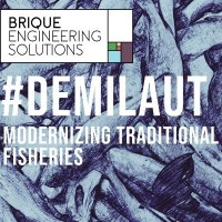 #DemiLaut by Brique logo, #DemiLaut by Brique contact details