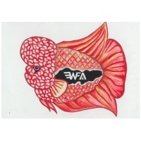 Wild Fish Aquatics logo, Wild Fish Aquatics contact details