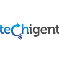 Techigent Technologies Pvt Ltd logo, Techigent Technologies Pvt Ltd contact details