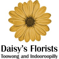 Daisy's Florist - Toowong & Indooroopilly logo, Daisy's Florist - Toowong & Indooroopilly contact details