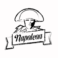 Napoleon Comunicação Estratégica logo, Napoleon Comunicação Estratégica contact details