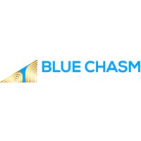 Blue Chasm Consulting logo, Blue Chasm Consulting contact details