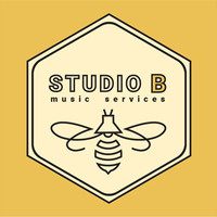 Studio B: Music Services logo, Studio B: Music Services contact details