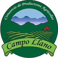 Campo Llano logo, Campo Llano contact details