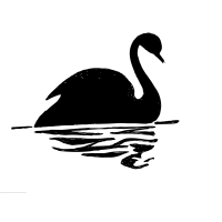 Swan Beach Enterprises logo, Swan Beach Enterprises contact details