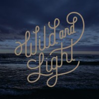 Wild and Light Studio logo, Wild and Light Studio contact details