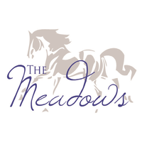 The Meadows Stabes logo, The Meadows Stabes contact details