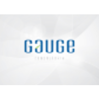 Gauge Consultoria logo, Gauge Consultoria contact details