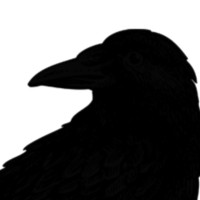 Raven Web Services logo, Raven Web Services contact details