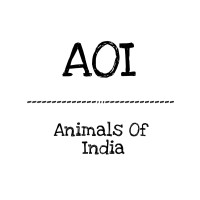 Animals Of India logo, Animals Of India contact details