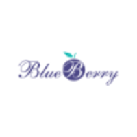 Blueberry Semijoias logo, Blueberry Semijoias contact details