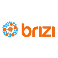 Brizi Inc logo, Brizi Inc contact details