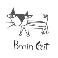 BrainCat, Inc. logo, BrainCat, Inc. contact details