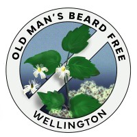 Old Man's Beard Free Wellington logo, Old Man's Beard Free Wellington contact details