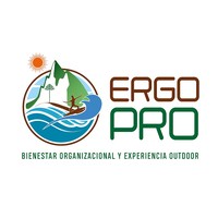 ERGOPRO Chile logo, ERGOPRO Chile contact details