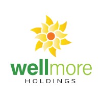 WellMore Holdings logo, WellMore Holdings contact details