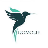 DomoLif logo, DomoLif contact details