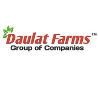 DAULAT ORGANIC FARMS AND EXPORTS logo, DAULAT ORGANIC FARMS AND EXPORTS contact details