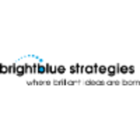 Bright Blue Strategies logo, Bright Blue Strategies contact details