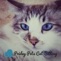 Pridey Pets Cat Sitting (TM) logo, Pridey Pets Cat Sitting (TM) contact details