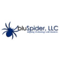 bluSpider, LLC logo, bluSpider, LLC contact details