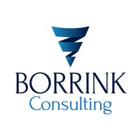 Borrink Consulting logo, Borrink Consulting contact details