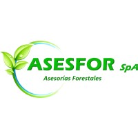 ASESFOR logo, ASESFOR contact details