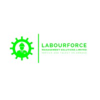 LABOURFORCE MANAGEMENT SOLUTIONS LIMITED logo, LABOURFORCE MANAGEMENT SOLUTIONS LIMITED contact details