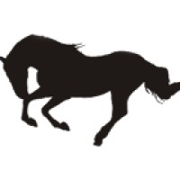 Stallion Enterprises International Corporation logo, Stallion Enterprises International Corporation contact details