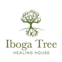 Iboga Tree - Healing House | Ibogaine Treatment Centre Europe logo, Iboga Tree - Healing House | Ibogaine Treatment Centre Europe contact details