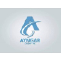 Ayngar Grooup Inc logo, Ayngar Grooup Inc contact details