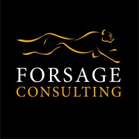 Forsage Consulting logo, Forsage Consulting contact details